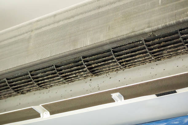 Best Residential Air Duct Cleaning  in Monticello, FL